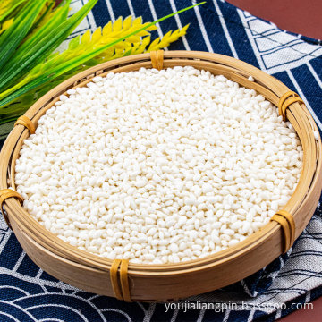 round grain wholesale new product sticky white rice